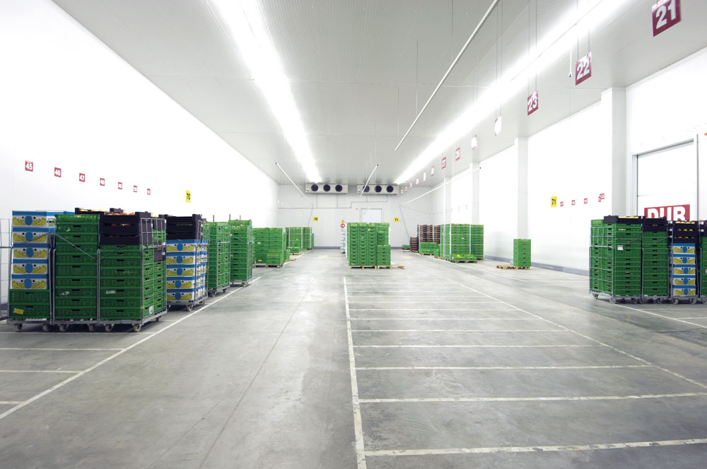 MP 60 MASTER frigo FOTO 7