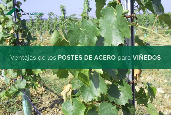 Postes de acero galvanizado para emparrado
