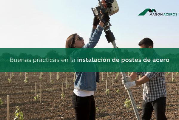 Instalación de postes de acero en viñedo