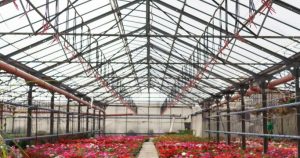 estructura de acero de invernadero